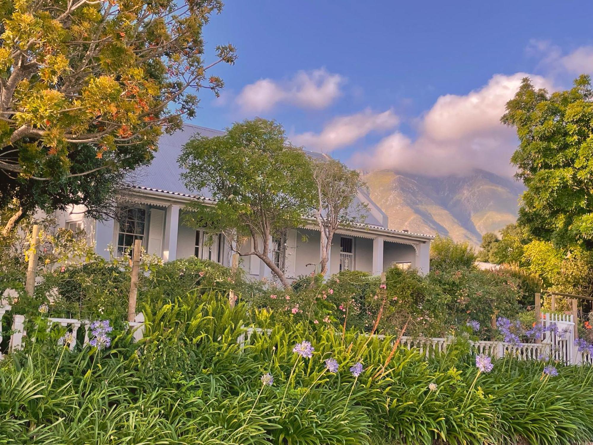 Rosehaven Cottage 斯韦伦丹 外观 照片