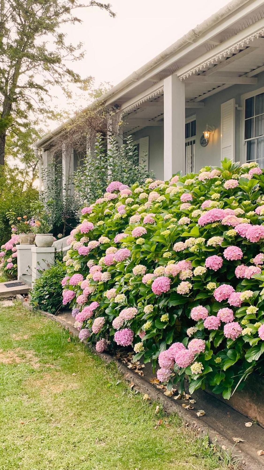 Rosehaven Cottage 斯韦伦丹 外观 照片